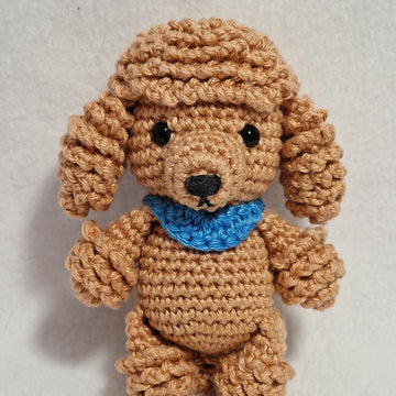 Poodle Dog