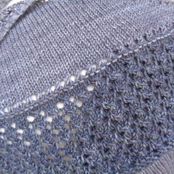 Lesley Shawl