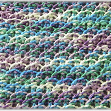 Indy Dishcloth