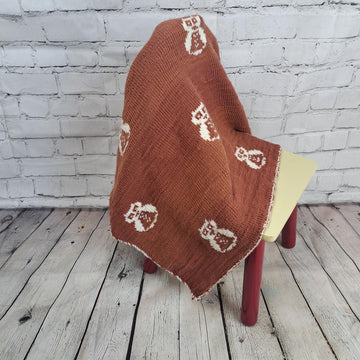Owl Baby Blanket