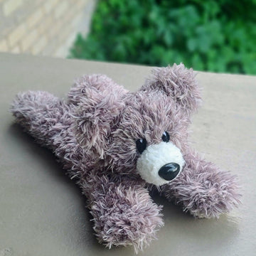 Hang in There Bear