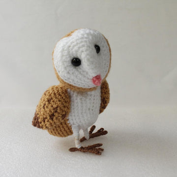 Barn Owl