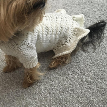 Knitted Dress for Dogs