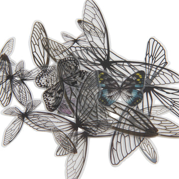 Advantus Idea-Ology Transparent Acetate Wings 72/Pkg - 563982