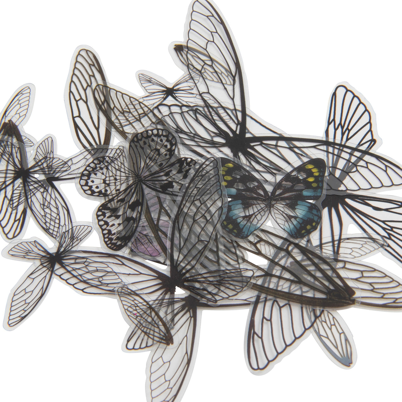 Advantus Idea-Ology Transparent Acetate Wings 72/Pkg - 563982