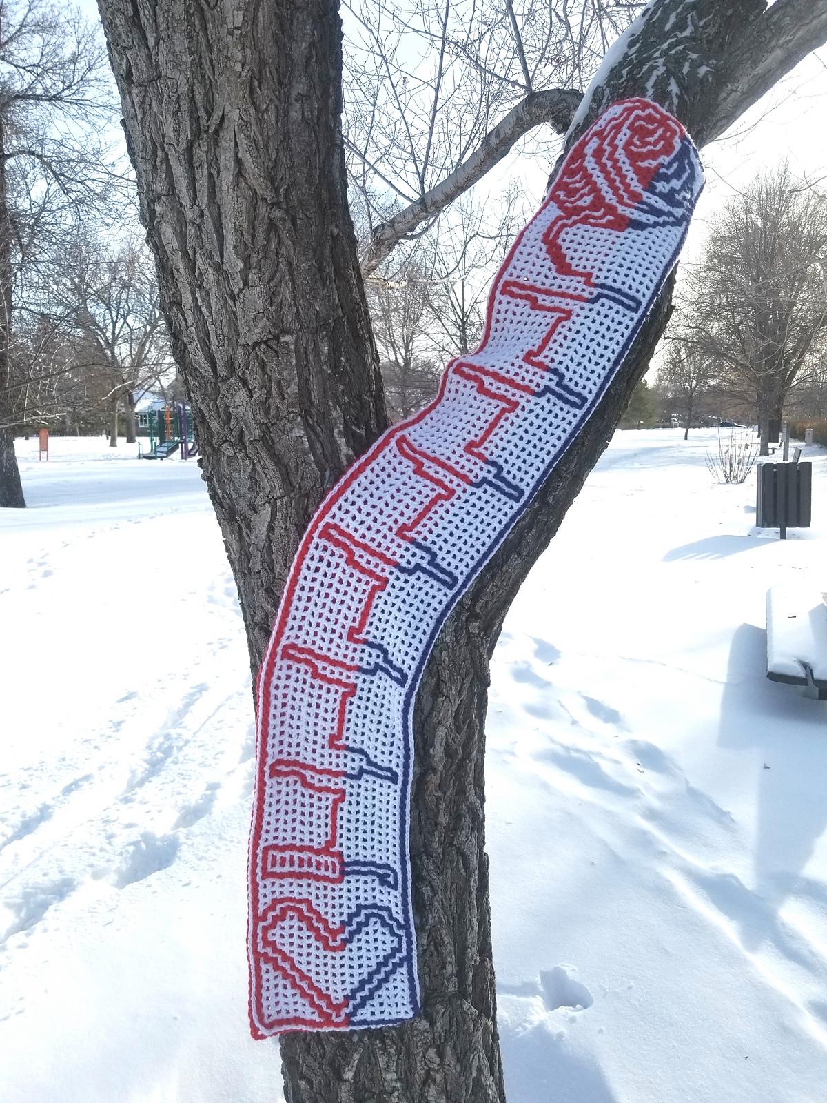 Yarn Heartbeat Scarf