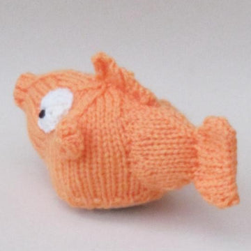 Goldfish Chocolate Orange Cosy
