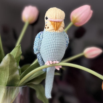 Pearl the Budgie
