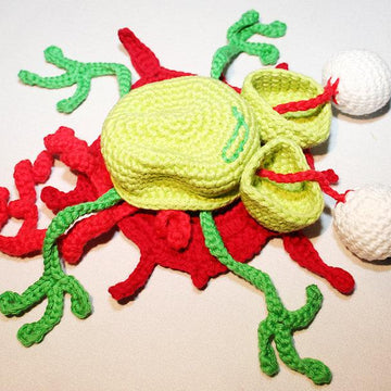 Dead Frog - Amigurumi