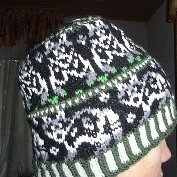 Raccoon beanie
