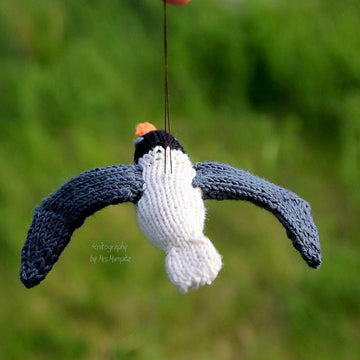 Sonja the Seagull