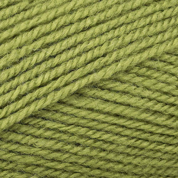 Grass (272)