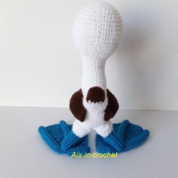 Sully the blue footed booby bird