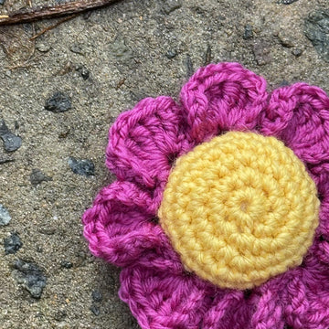 3D Daisy