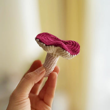 Crochet mushrooms, amigurumi mushrooms, Mushrooms collection