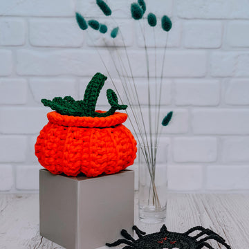 Coaster spider