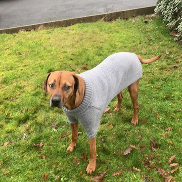 Big Comfy Dog Sweater