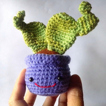 Nopal Cactus Happy