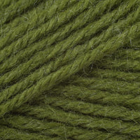 Avocado (174)