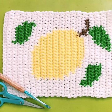 Lemon Blanket Section for Warm Up America!