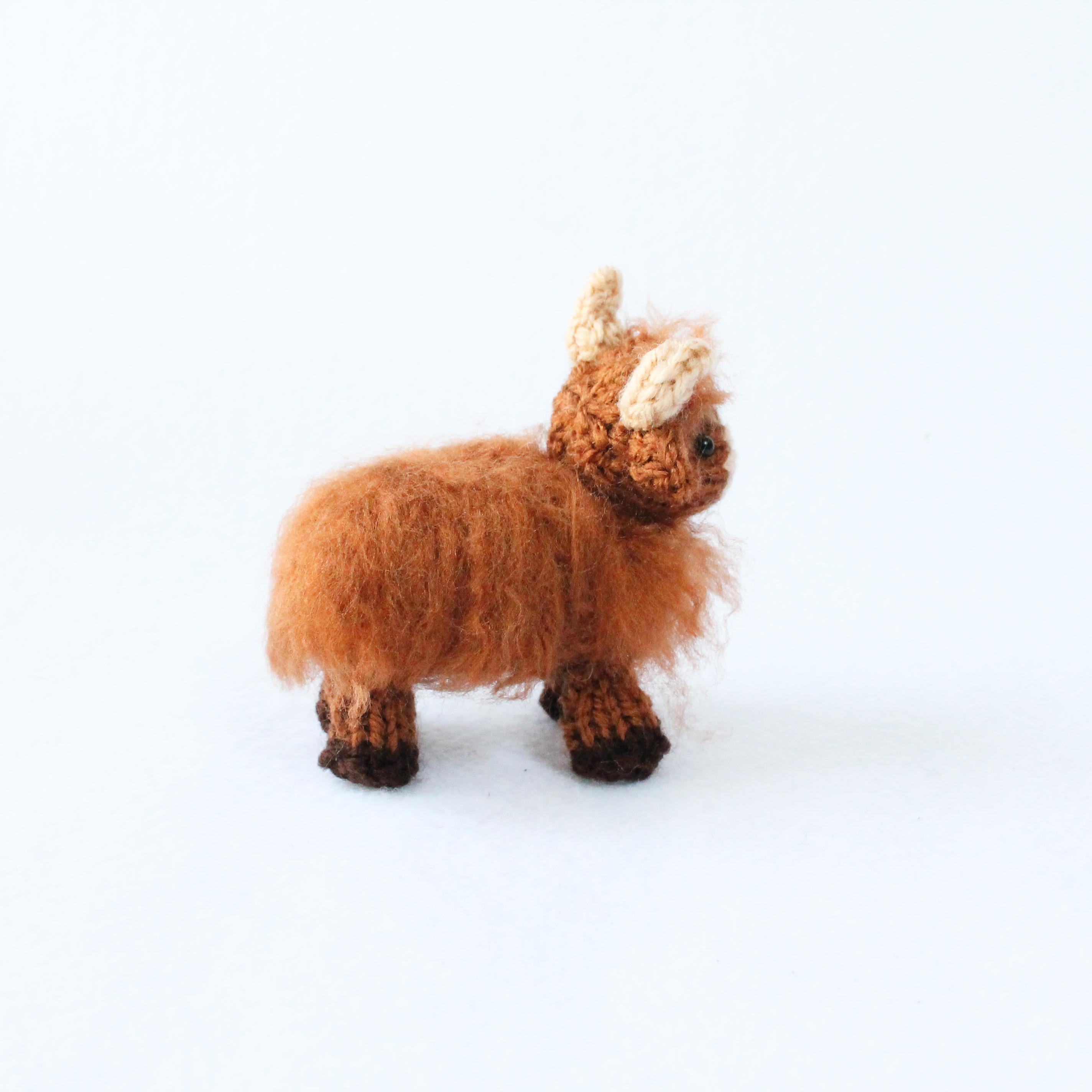 Mini Highland Cows