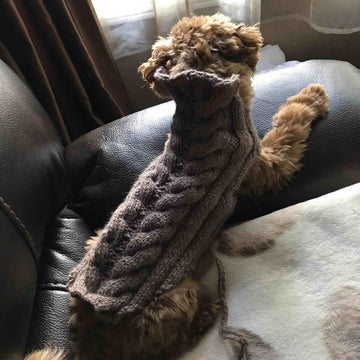 Dog Fancy Braid Vest