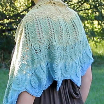 Rare Bird Shawl