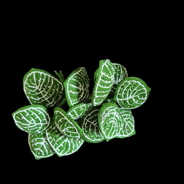 Crochet Nerve plant/Fittonia