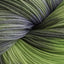 Botanico (8106)