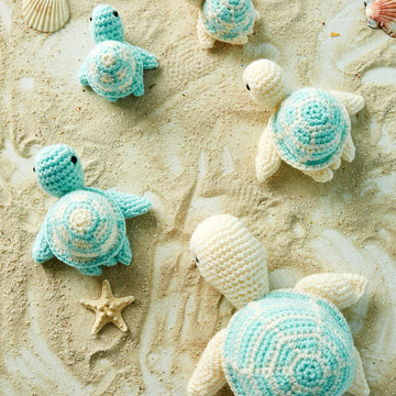 Sea Turtles