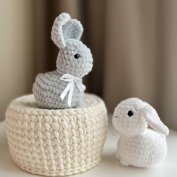 Baby rabbit