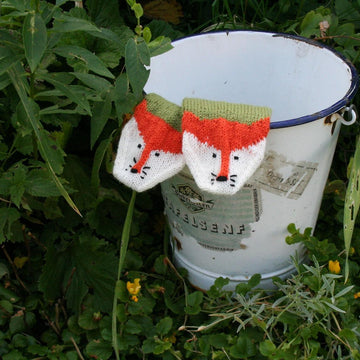 Adrian's Foxes