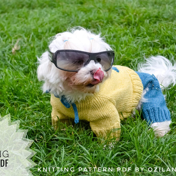 Minion jumpsuit for dog