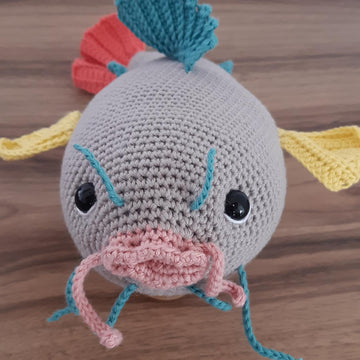 Charlotte the cat fish