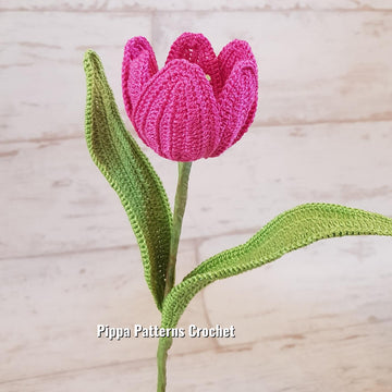 Tulip