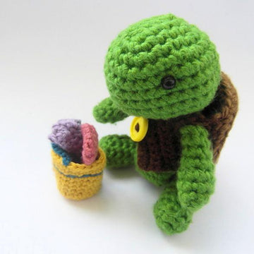 June Turtle