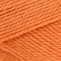 Pumpkin (54005)