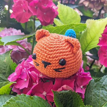 Semola, the Orange Cat