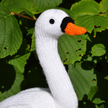 Yvonne the Swan