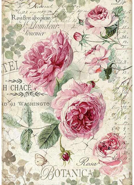Stamperia Intl Stamperia Rice Paper Sheet A4 - Botanic English Roses