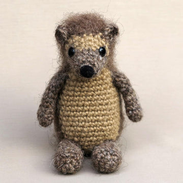 Flims the hedgehog