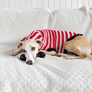 Doggo no 14 sweater