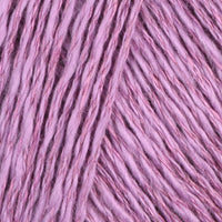 Wisteria (39)