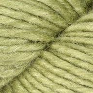 Wasabi (124)