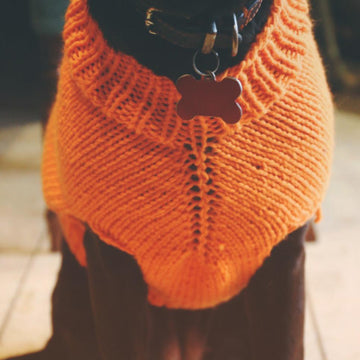 The Juno's Friend Jumper