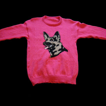 German Shepherd Dog Jumper