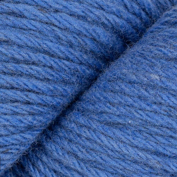 Cornflower (120)