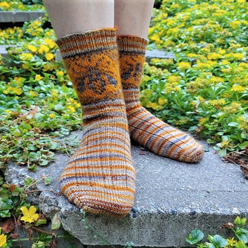 Hymenoptera Socks