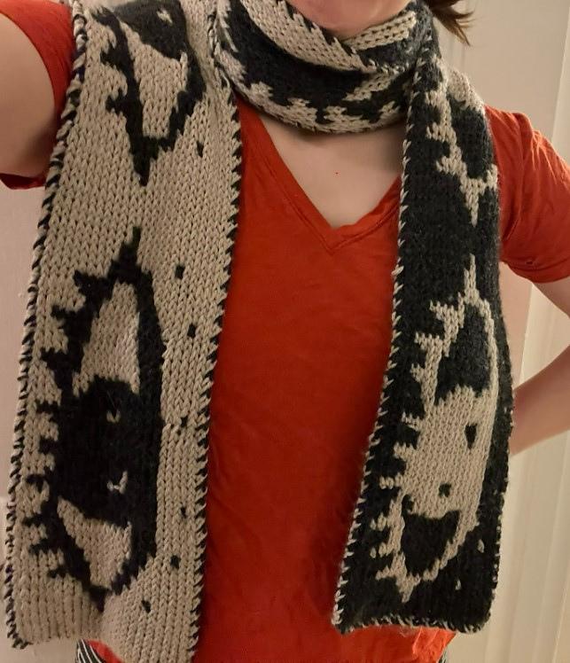 Two-sided Eye Scarf