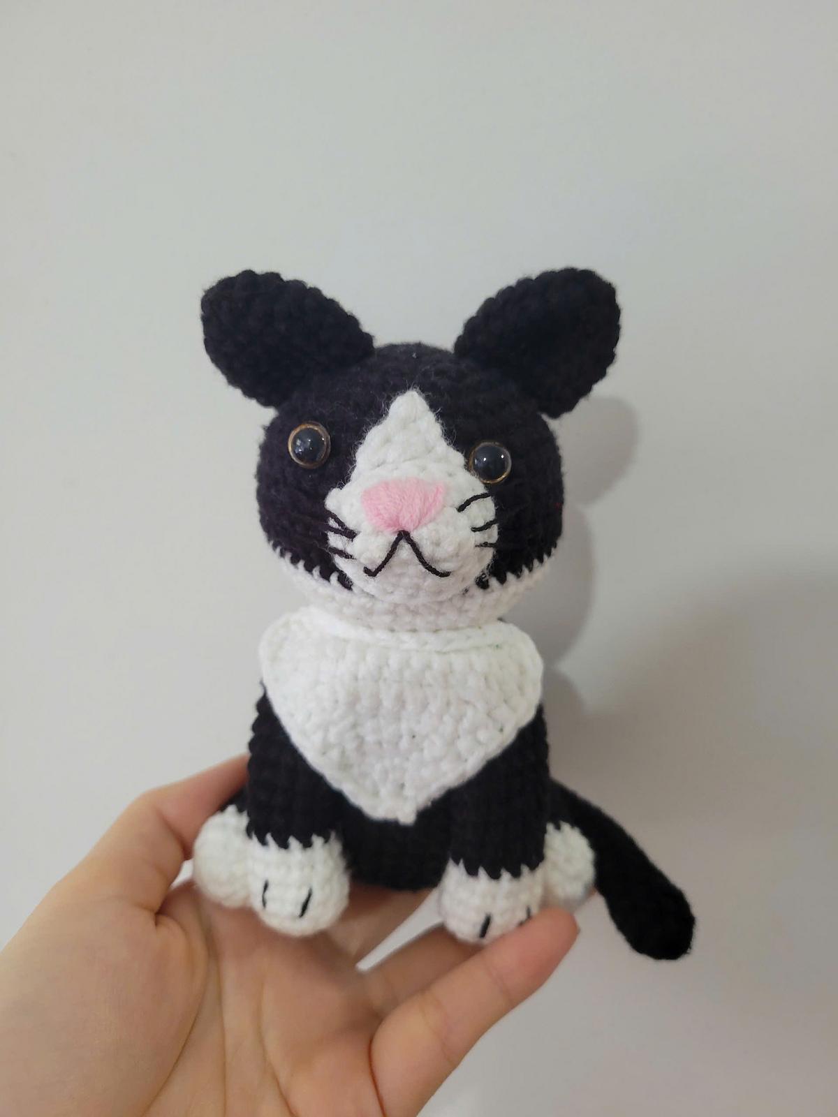 Tuxedo Cat